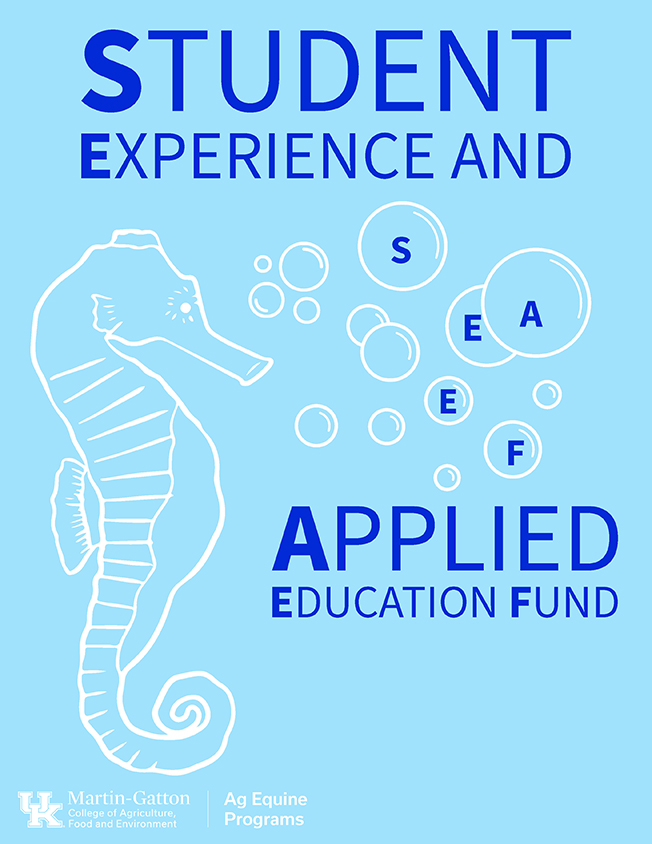 Student Experience and Applied Education Graphic