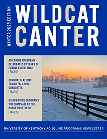 WCC cover