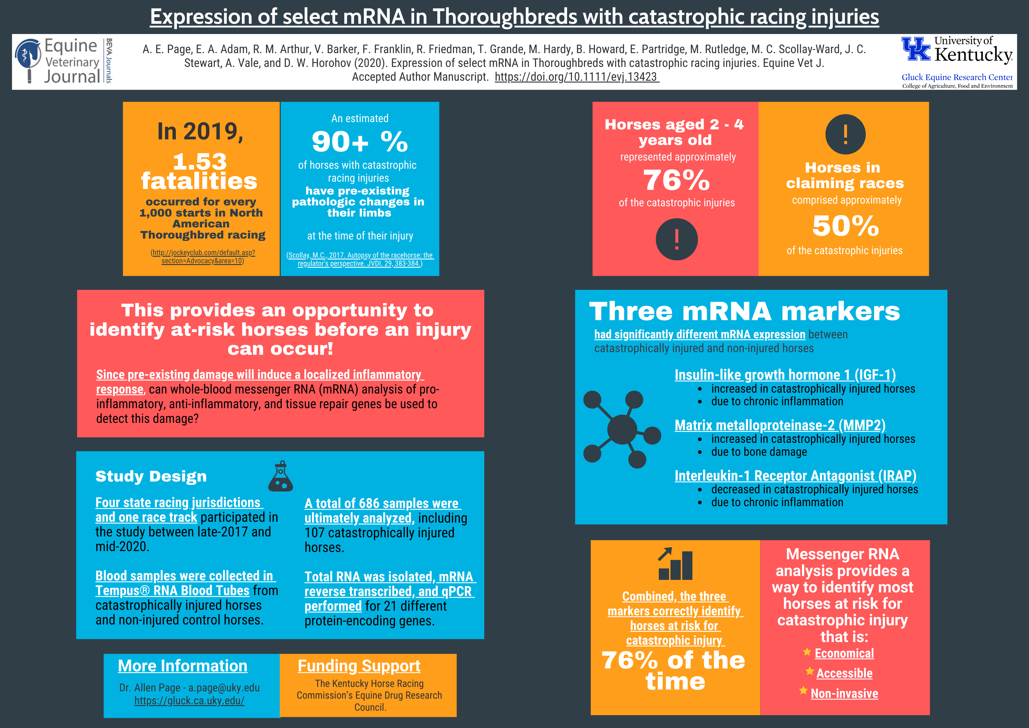 Infographic: Expression of select mRNA in Thoroughbreds with catastrophic racing injuries